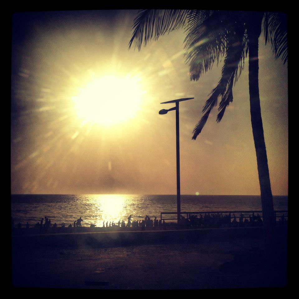 Article : Liebster Blog Award… à qui le tour ?